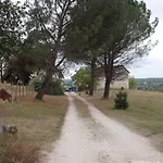 Piovit * Mareuil-sur-Belle